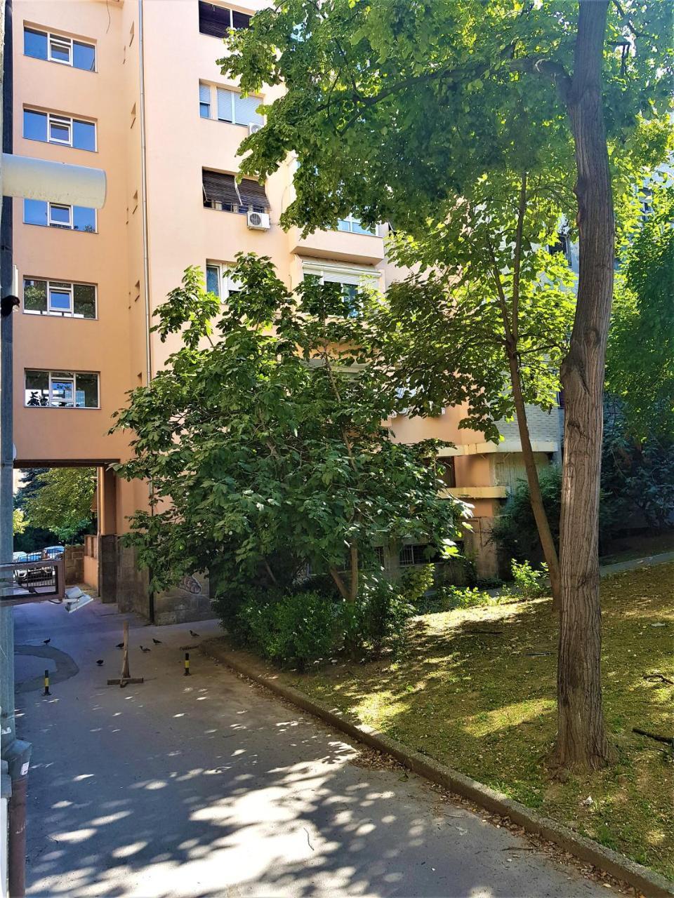 Asya Blue Studio Belgrade Exterior photo